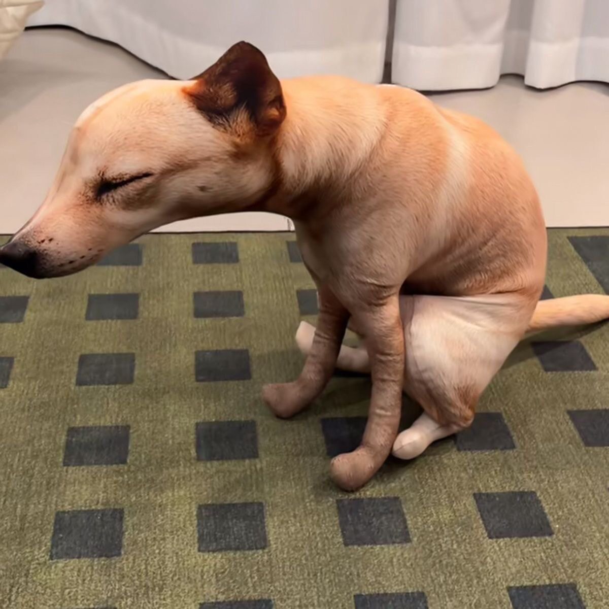 搞笑拉屎狗毛绒玩具可爱恶搞整蛊宠物犬类玩偶嗯嗯狗公仔毛绒挂饰