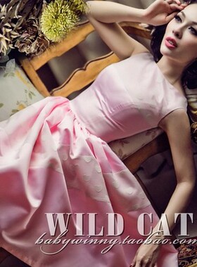 超级孤品WILDCAT优雅甜美 复古淡粉色蕾丝拼接修身蓬蓬裙
