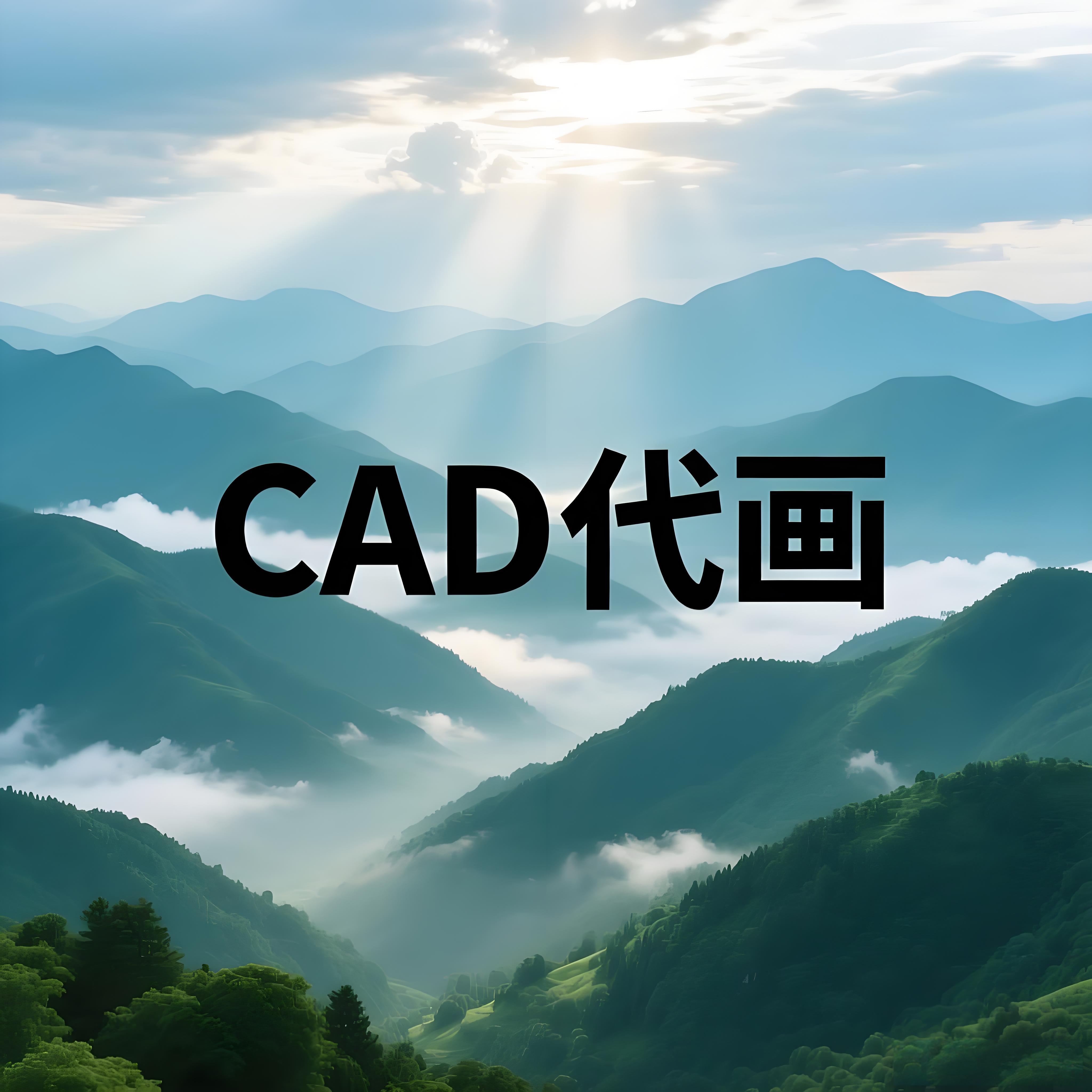 cad图纸修改修复设计描图代画一对一服务高效绘图