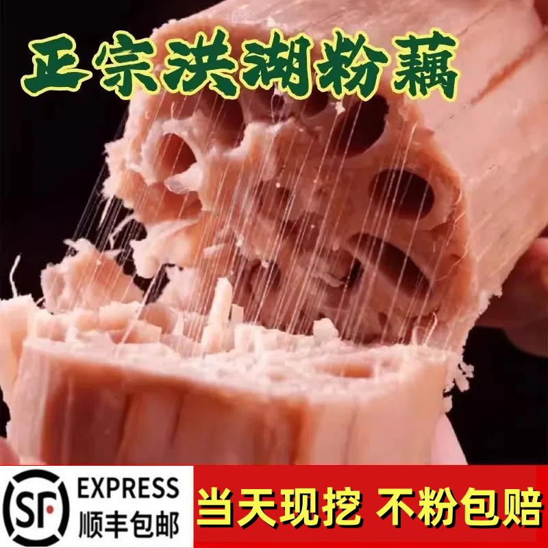 正宗湖北洪湖煲汤粉藕粉糯新鲜现挖现发糯米藕炖汤九孔粉藕红莲藕