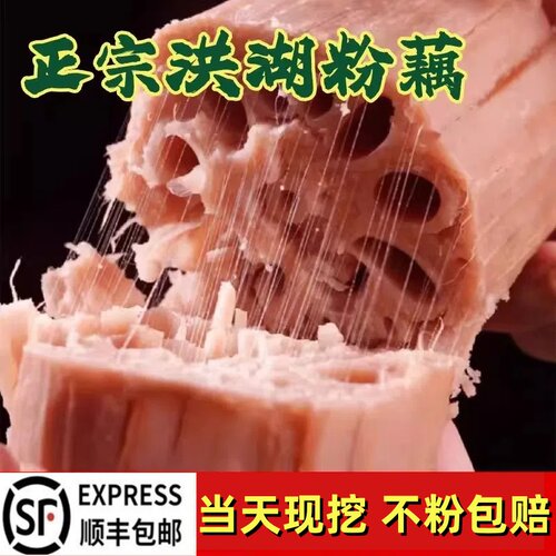【顺丰快递】洪湖煲汤粉藕新鲜现挖现发糯米藕炖汤九孔粉藕红莲藕