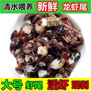 小龙虾特大号清水活体虾新鲜水产湖北潜江淡水大龙虾大青虾尾2斤