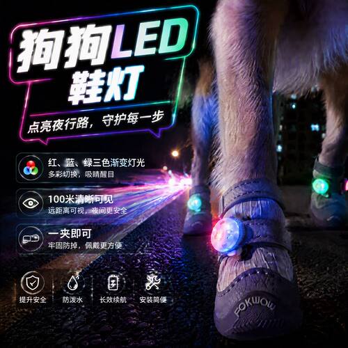 DJJ狗狗防丢鞋灯夜间闪躲