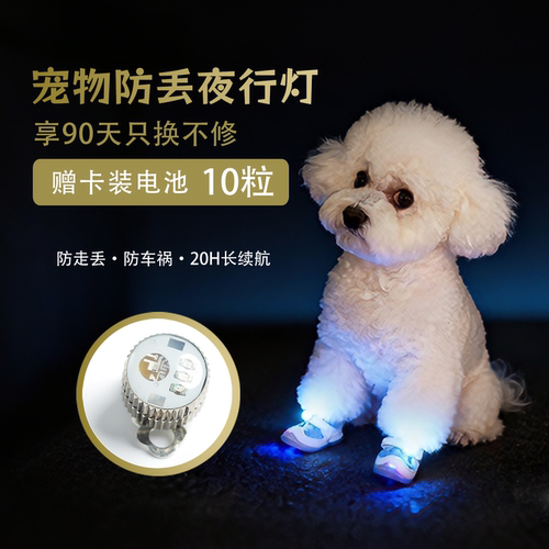 DJJ狗狗防丢鞋灯夜间闪躲