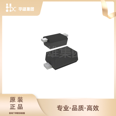 原装正品SKYWORKS电子元器件肖特基RF二极管整流器封装SC-79-2