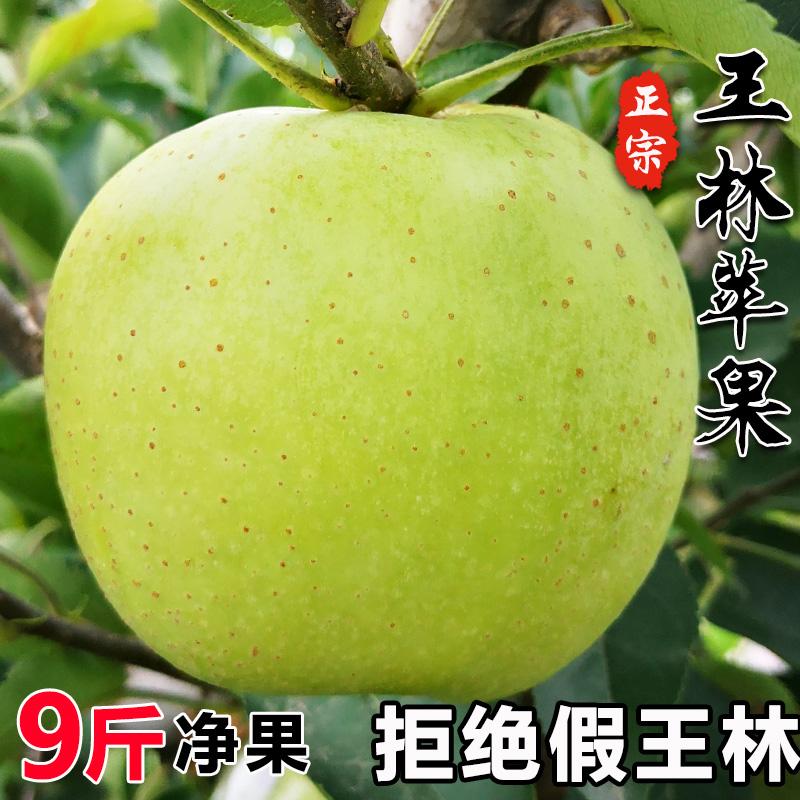 精选正宗特级新疆阿克苏王林苹果当季新鲜现摘时令水果顺丰青苹果