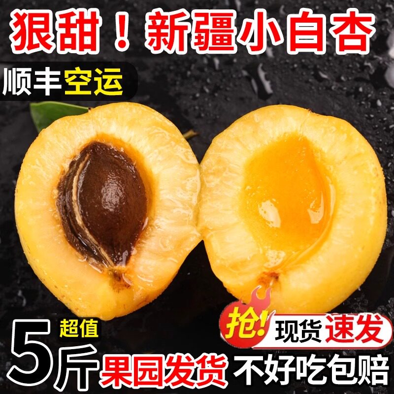 新疆特产小白杏轮台新鲜水果库车白杏子当季大黄杏小红杏顺丰发货