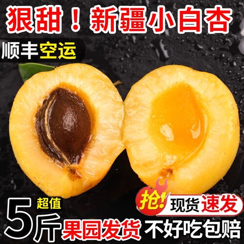 新疆特产小白杏轮台新鲜水果库车白杏子当季大黄杏小红杏顺丰发货