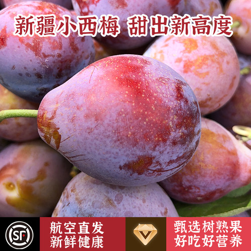 新疆喀什法兰西小西梅新鲜水果