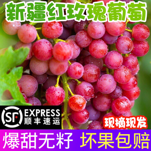 新疆吐鲁番无籽无核新鲜红提葡萄