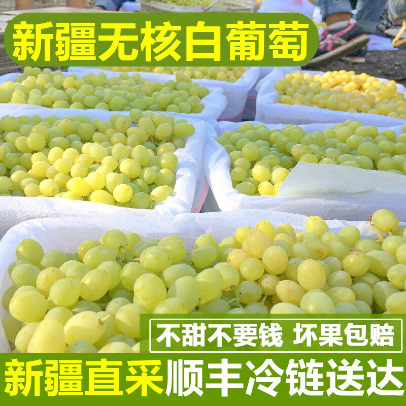 新疆无核白葡萄新鲜吐鲁番马奶
