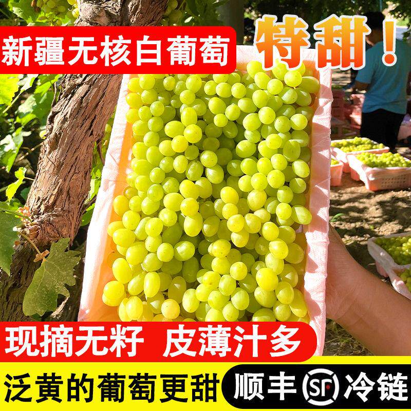 新疆吐鲁番新鲜无核白葡葡萄当季