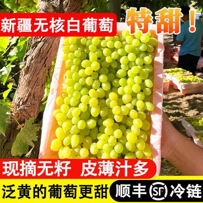 新疆吐鲁番新鲜无核白葡葡萄当季