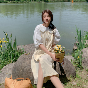 【现货】娃娃衫+裙子两件套套装8885-P110-K168图片