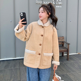 【大货已出】引流跑量款！羊羔毛麂皮绒皮毛一体228-P160-238，女装派克服，浙宝113