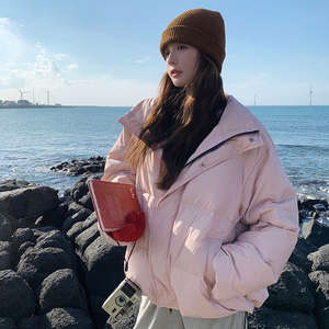 【现货】标50白鸭绒连帽羽绒服 896-P235-K338图片