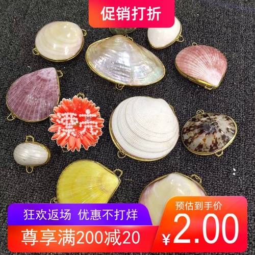 粉蛤热卖天然海螺贝壳