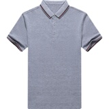 夏季纯棉短袖男士翻领T恤商务休闲刺绣POLO衫男半袖AJY2151-P60，男装T恤，电商B212（原钱塘6029）
