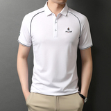 2021新款夏季男士短袖棉T恤翻领体桖衫男上衣休闲QLM88160-P70，男装T恤，电商B212（原钱塘6029）