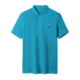 夏季纯棉短袖T恤男免烫POLO衫夏装中年男士休闲半袖上衣D889-P65，男装T恤，电商B212（原钱塘6029）