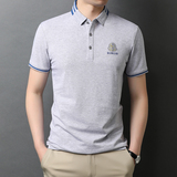 中青年男士休闲短袖T恤男上衣夏季新款时尚半袖POLO衫D7627-P65，男装T恤，电商B212（原钱塘6029）