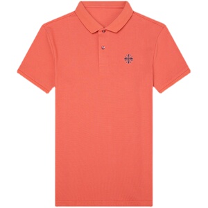 夏季新款纯棉短袖T恤男上衣中青年男士休闲半袖POLO衫D2003-P73图片