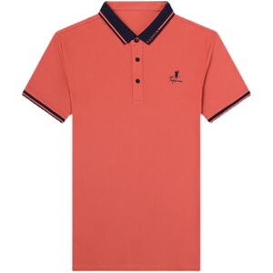 夏季翻领短袖T恤中年休闲POLO衫男韩版纯棉上衣男QLM88164-P70图片