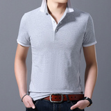 短袖T恤男翻领polo衫男士潮流条纹休闲体恤上衣夏AJY2159-P70，男装T恤，电商B212（原钱塘6029）