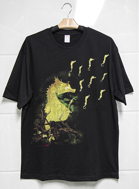 Retro47 90年代Nirvana涅槃乐队Seahorse水洗做旧复古宽松T恤短袖