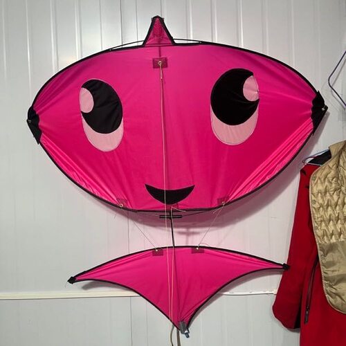 老三越南月亮风筝微风易飞好飞