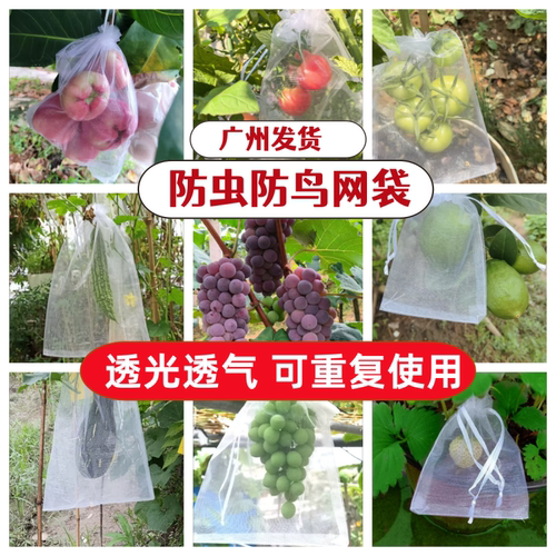 防虫网袋防鸟纱网袋保护套袋