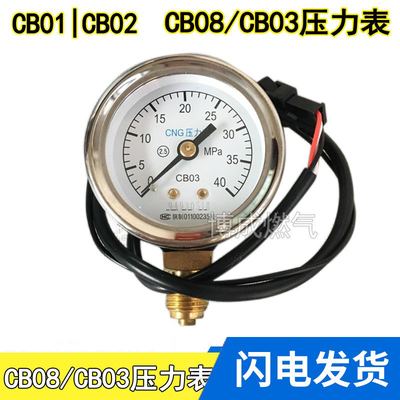 不锈钢压力表汽车cng燃气气量