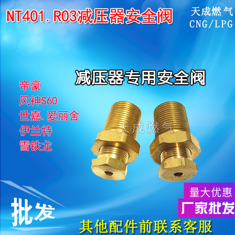 CNG减压器多点直喷减压器NT401系统减压器安全阀R03减压器阀芯