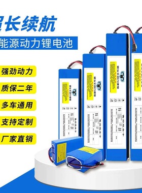 代驾车滑板车自行车管 60V48V36V24V锂电池组