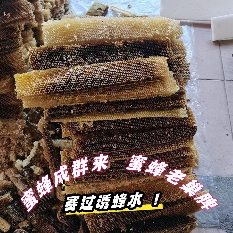 中蜂老巢脾诱蜂蜡意蜂老蜂巢新脾半新脾中蜂老巢脾老蜂巢蜂巢蜜渣