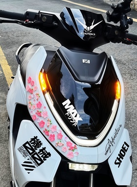 适用25款极核AE4 Pro/Max/AE8+/AE7车身装饰贴纸仿真桃花立体饰品