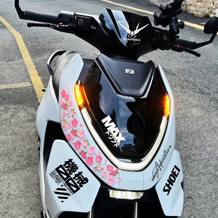 极核AE4 AE7车身装 Pro AE8 饰贴纸仿真桃花立体饰品 Max 适用25款