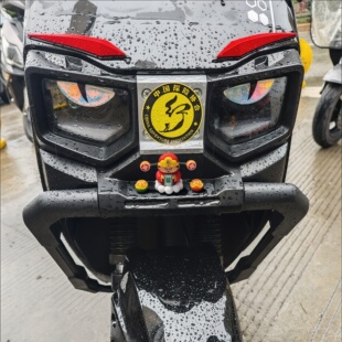 适用台铃火眼机甲苍穹eb眼睛车头3D立体眉毛防撞条电动车装饰贴纸