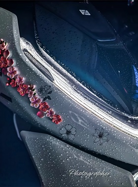 适用25款极核AE4 Pro/Max/AE8+/AE7车身繁花仿真桃花立体装饰品贴