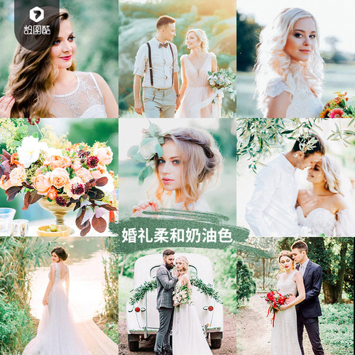 森系奶油色婚礼照Lr预设Pr达芬奇Lut剪映FCPX清新Ps滤镜Lightroom