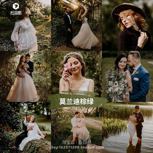 莫兰迪棕绿LR预设婚礼人像Cameraraw调色PS素材手机Lightroom滤镜
