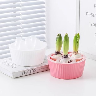 郁金香种球水培花盆三孔五孔懒人花瓶风信子洋水仙种子专用器皿