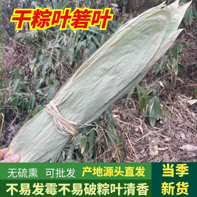 干粽叶粽子叶免邮粽叶大号商用箬叶4...