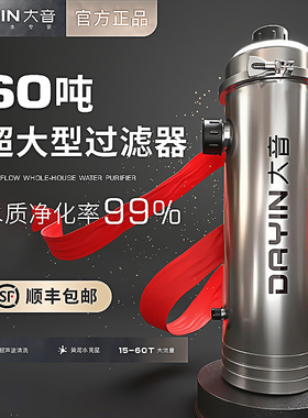 DAYIN大音大流量井水自来水过滤器家用前置净水器全屋水塔黄泥水