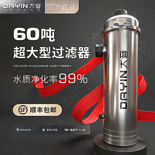 DAYIN大音大流量井水自来水过滤器家用前置净水器全屋水塔黄泥水
