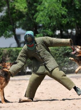 帆布扑咬服训犬护具麻布化妆服