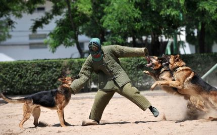 麻布化妆服 帆布扑咬服 工作犬训练装备 犬防御靶衣加厚长款防护