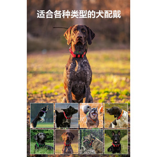 工作犬卫星GPS定位系统电击脖圈可追踪训练20条狗双向通话追踪器