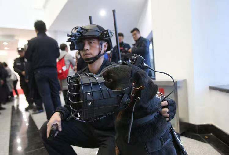 狼人不锈钢牛皮执勤训练战术口笼