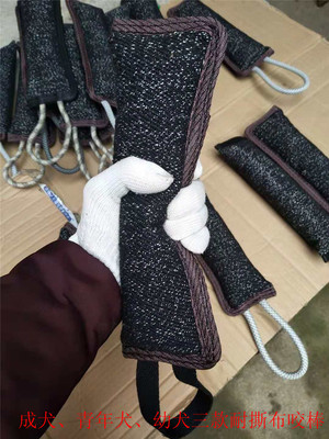 成犬训练咬棒青年撕布逗引